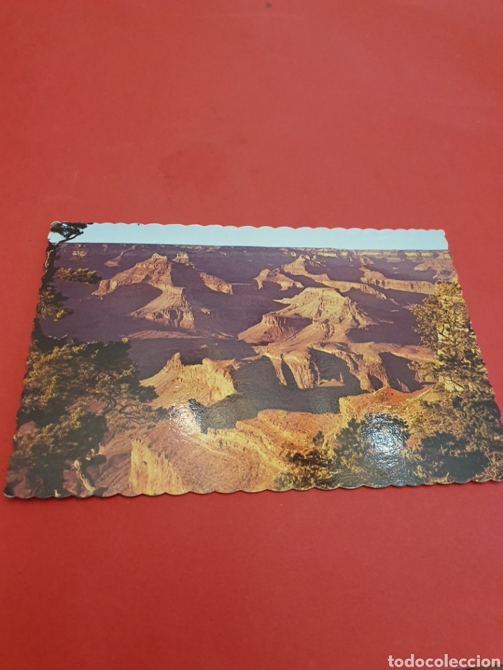 Postales: Park.Arizona.Circulada.1980 - Foto 1