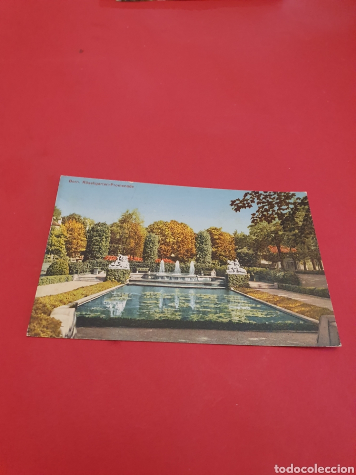 Postales: Berne Le jardin des Roses.Circulada. - Foto 1