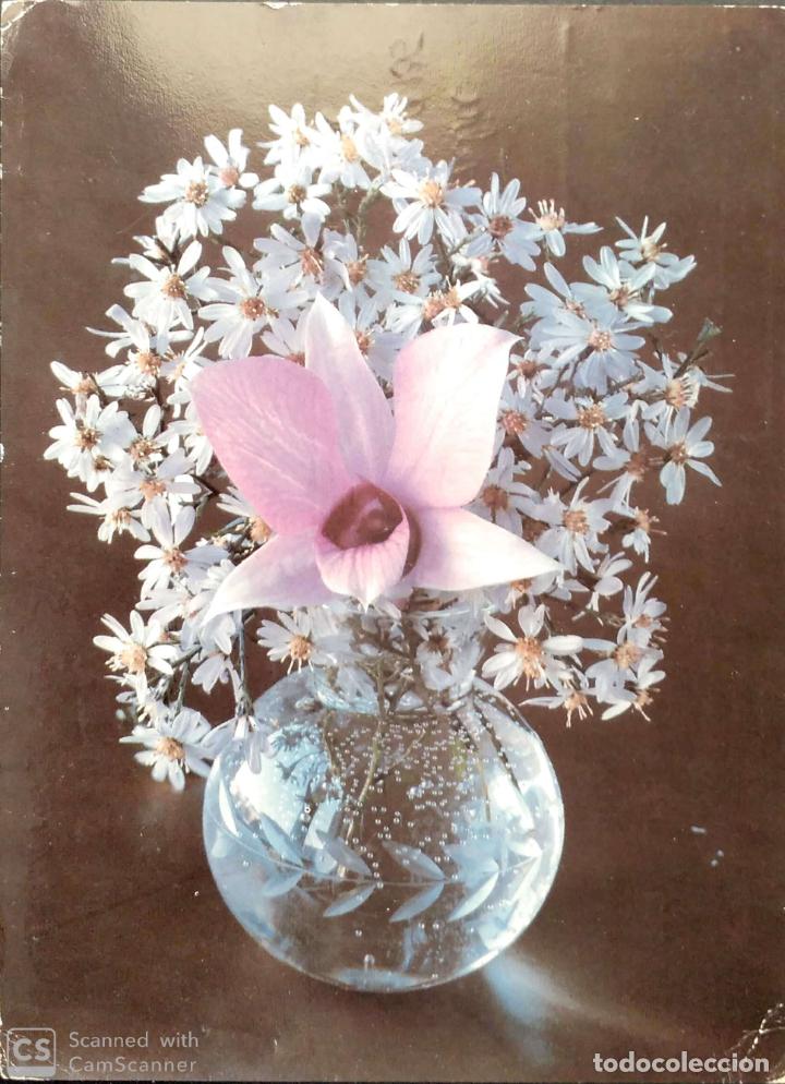 Cartoline: Flor (24). Usada. Color. Ver foto