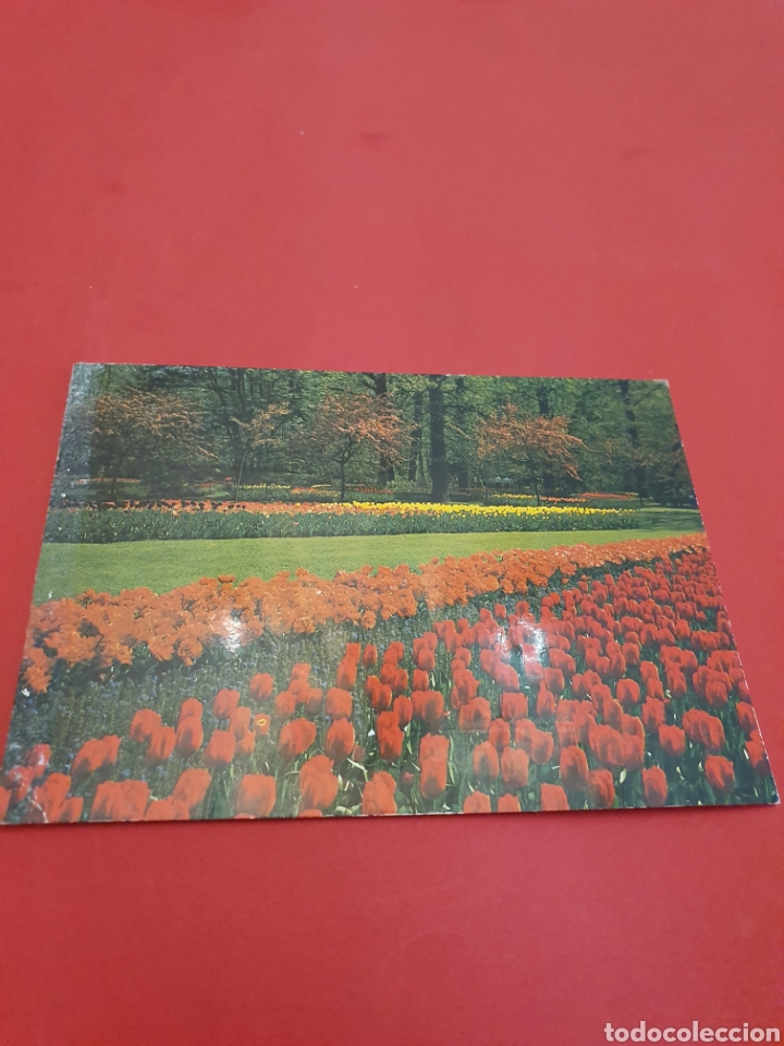 Postales: Rotterdam.Antwerpen.Circulada. - Foto 1