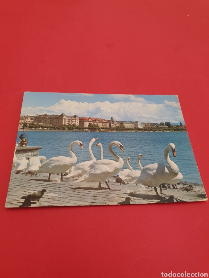 Postales: Z&uacute;rich.Circulada. - Foto 1