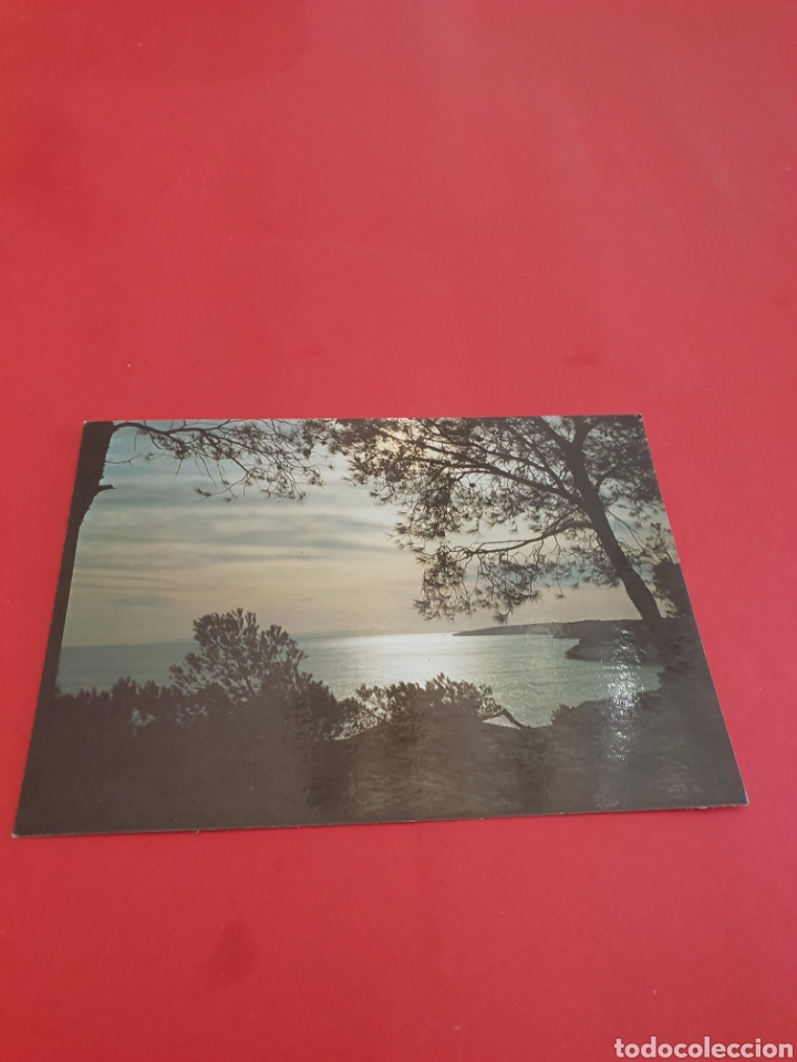 Postales: Menorca.Cala Galdana. - Foto 1