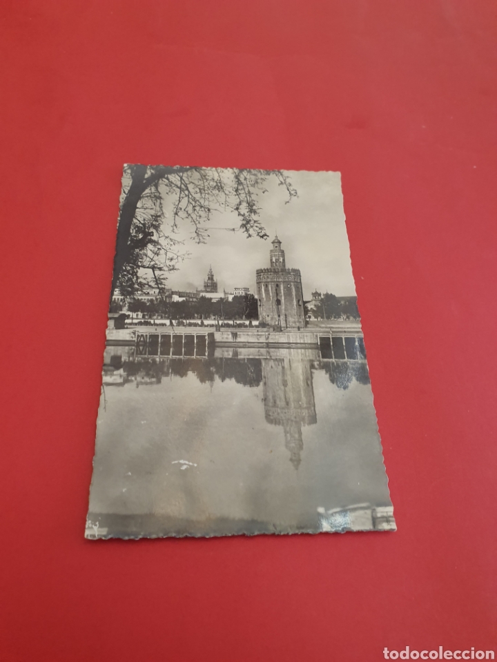 Postales: Sevilla.Torre del Oro.1982. - Foto 1