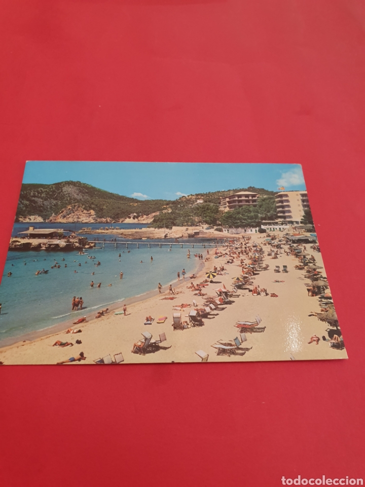 Postales: Camp de Mar.Mallorca. - Foto 1