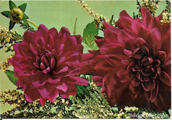Postales: :::: VF334 - POSTAL - BONITAS FLORES - Foto 1