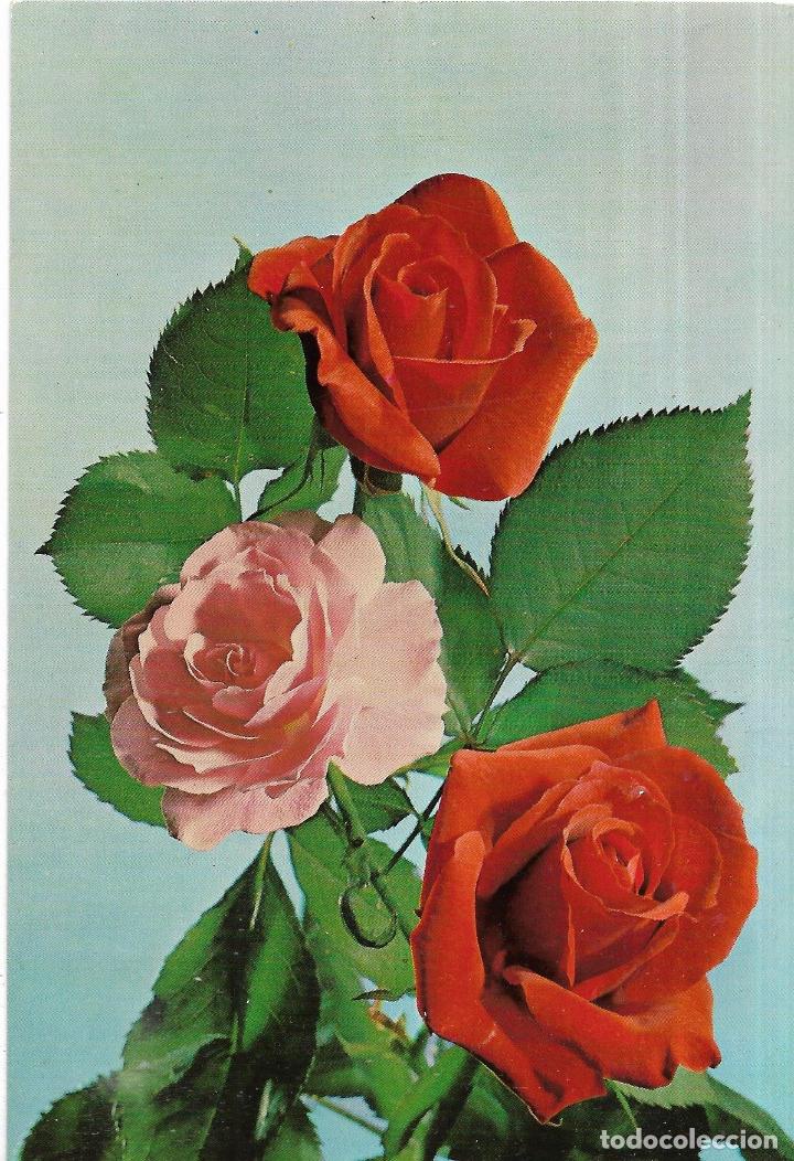 Postales: :::: VF392 - POSTAL - RAMO DE ROSAS - Foto 1