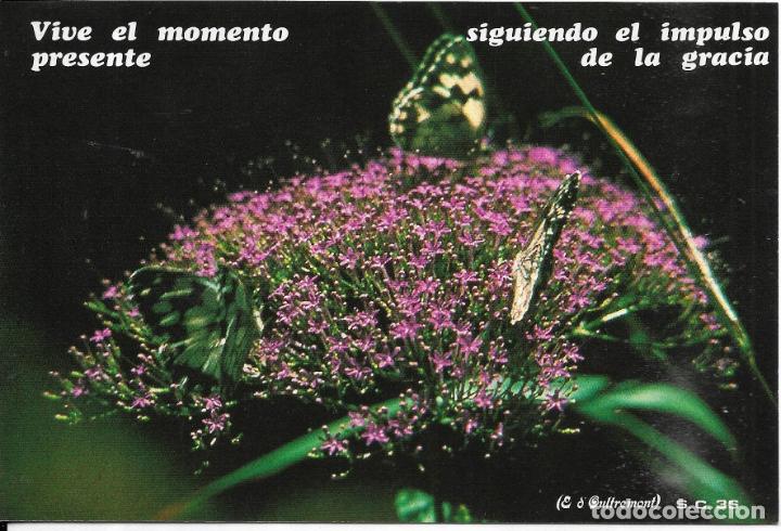 Postales: == PN505 - POSTAL - VIVE EL MOMENTO PRESENTE - Foto 1