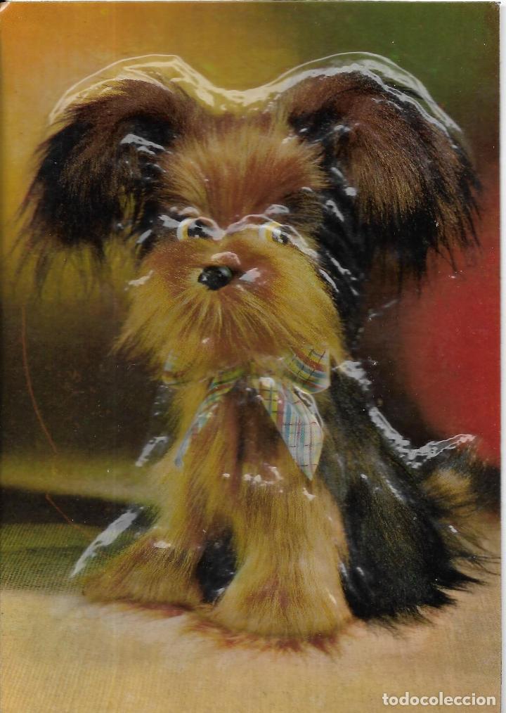 Postales: :::: LC39 - POSTAL - PERRITO EN RELIEVE - Foto 1