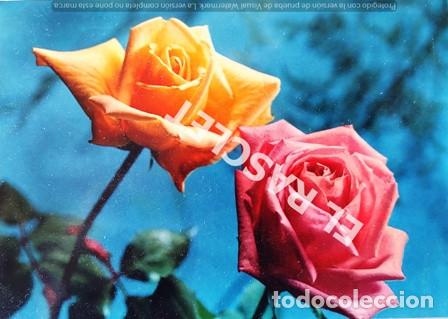 Postales: ANTIG&Uuml;A POSTAL - CIRCULADA DEL A&Ntilde;O 1967 - Foto 1