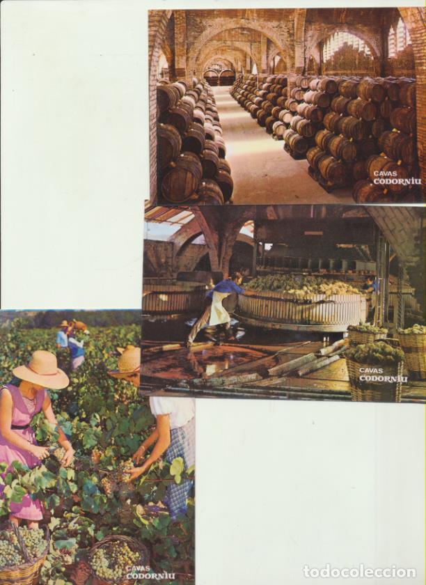 Cartoline: Lote de 3 Postales Publicitarias, Cavas Codorniu. 1976