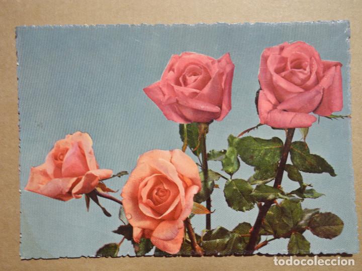Postales: Rosas. Flores. Circulada. - Foto 1