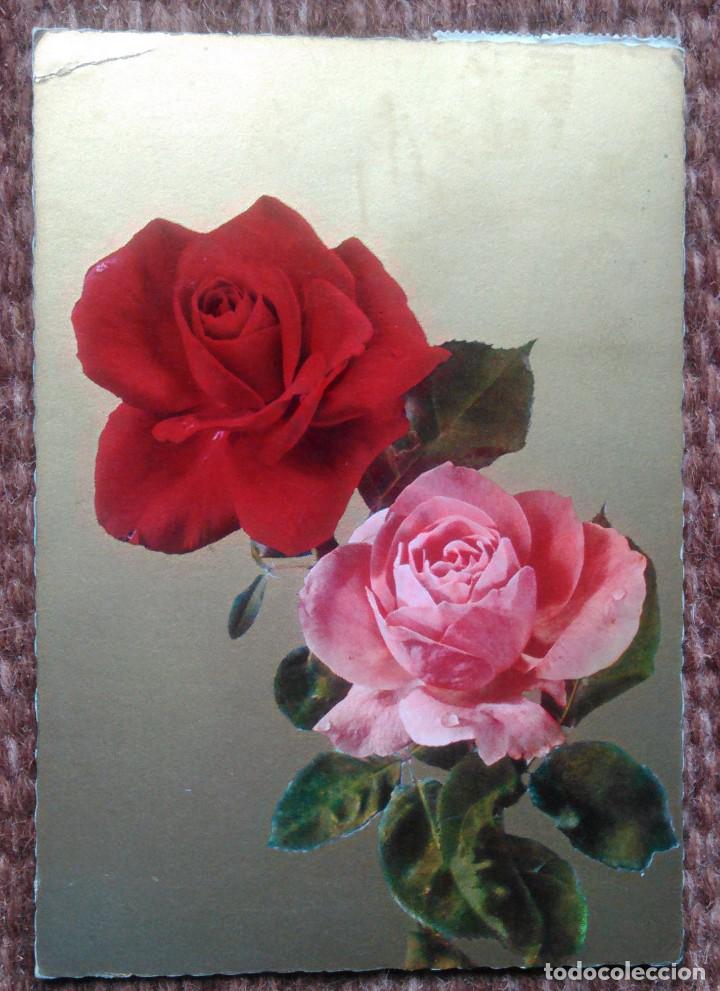 Postales: ROSA - Foto 1
