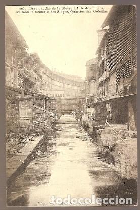 Postales: Francia ** & Postale, Paris, La Ciudad de los Monos, Quartier des Gobelins (203) - Foto 1