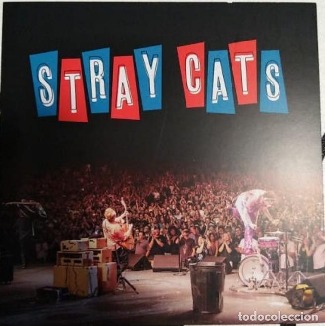 Postales: Postal Stray Cats. 40. - Foto 1