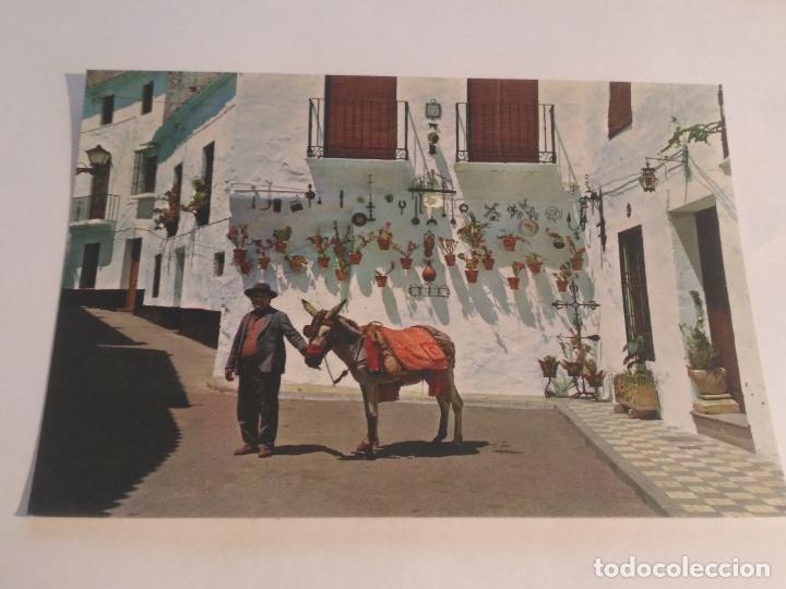 Postales: HAGA SU OFERTA - POSTAL - MALAGA - MARBELLA - Foto 1