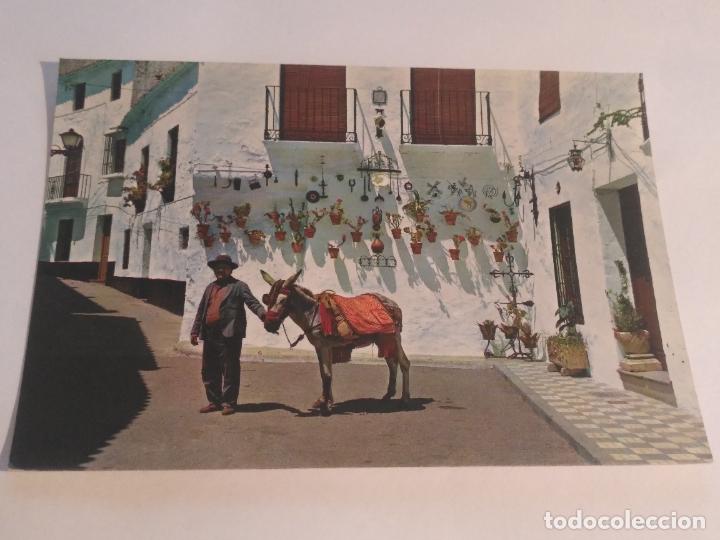 Postales: HAGA SU OFERTA - POSTAL - MALAGA - MARBELLA - Foto 1