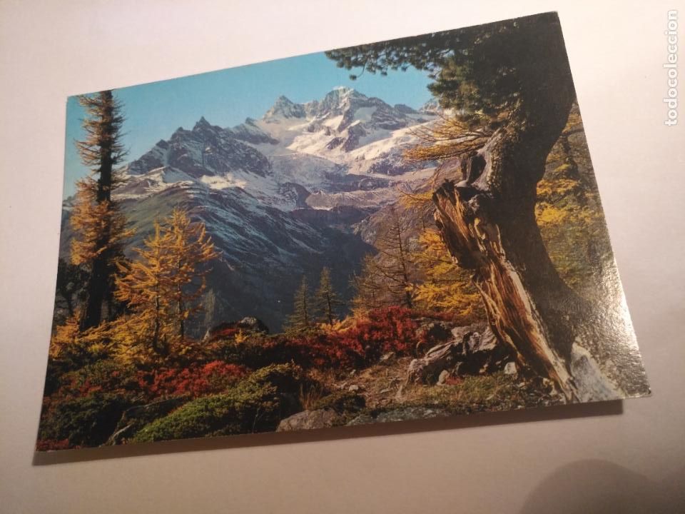 Postales: HAGA SU OFERTA referencia POSTAL EXTRANJERA - SIN REVISAR POSTALES DEL MUNDO - VER MAS MISMO TITULO