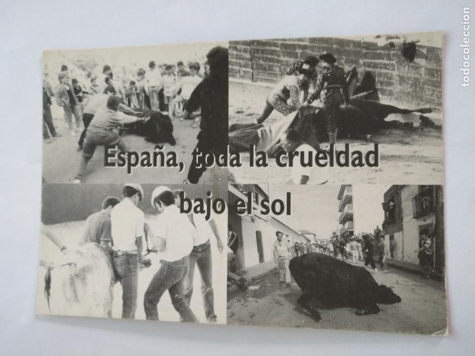 Postkarten: HAGA SU OFERTA --- RARA POSTAL DIFICIL DE CATOLOGAR - anti toros a.l.a defensa animales