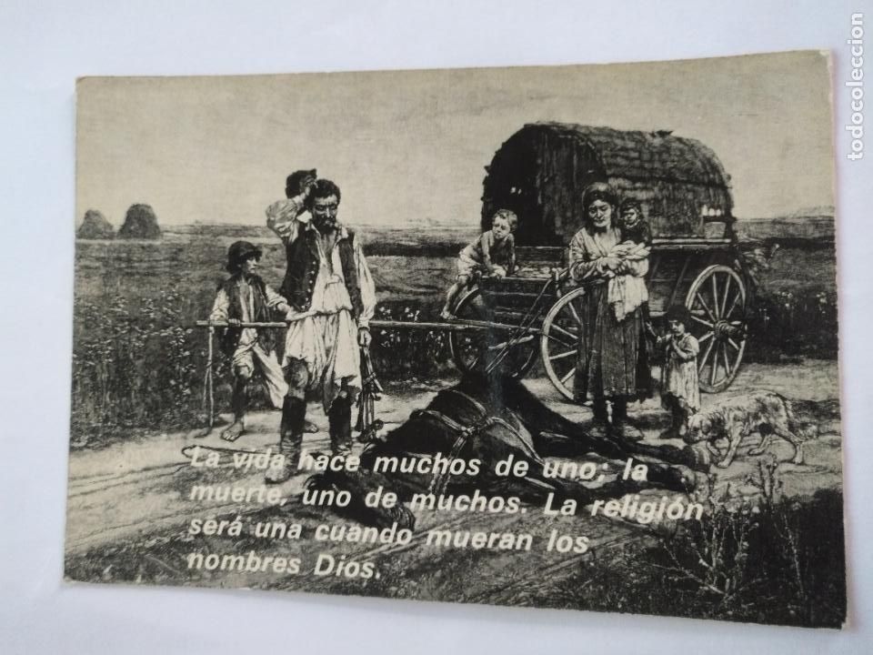 Postkarten: HAGA SU OFERTA --- RARA POSTAL DIFICIL DE CATOLOGAR - campo perro carro ni&ntilde;os