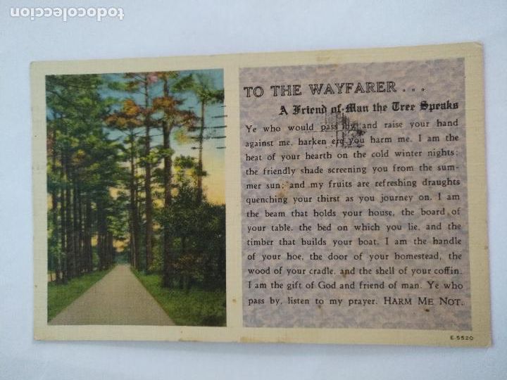Postkarten: HAGA SU OFERTA --- RARA POSTAL DIFICIL DE CATOLOGAR - TO THE WAYFARER ...