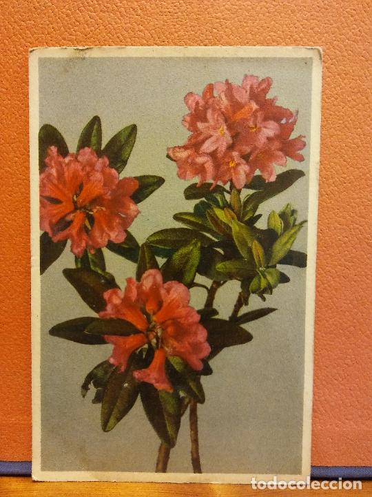 Postales: TARJETA FLORAL. BONITA POSTAL. SIN USAR