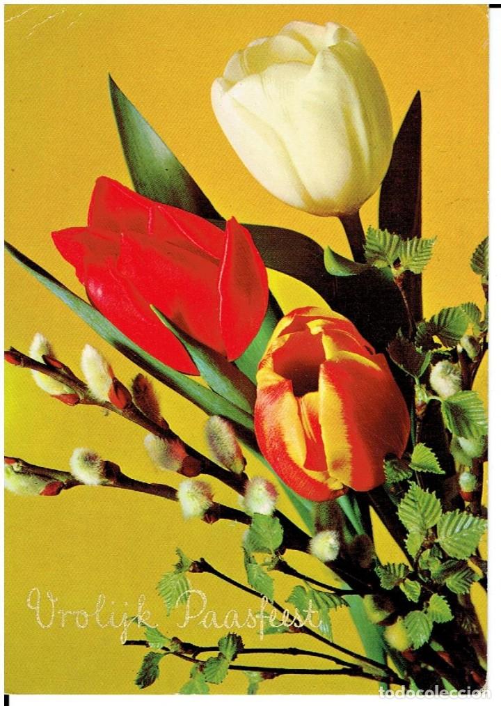 Postais: POSTAL TEMATICA FLORES,EDIC. HOLANDESA, CIRCULADA CON SU SELLO