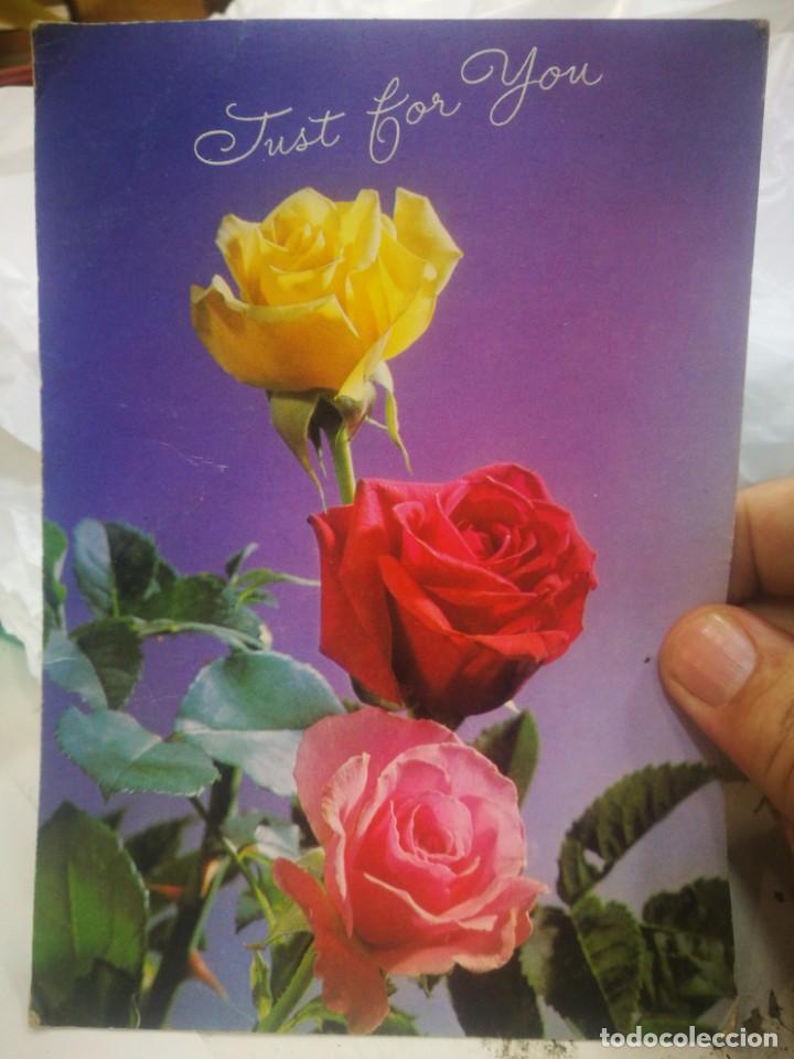 Postales: Postal Rosas escrita 1973 esquinas pel&iacute;n tocadas - Foto 1