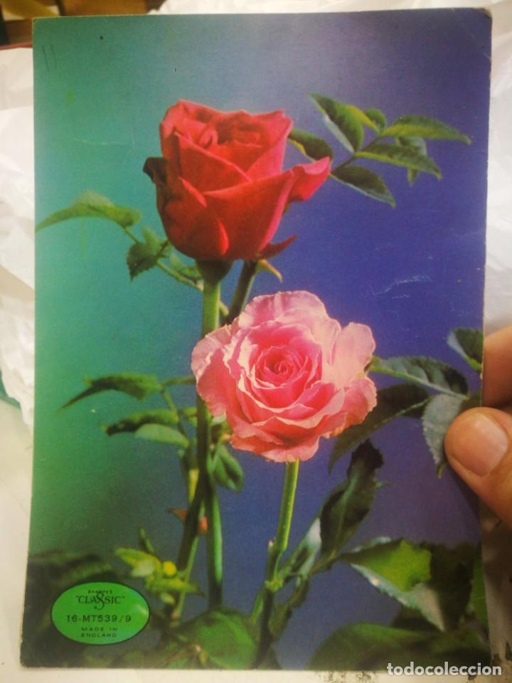 Postales: Postal Rosas escrita 1973 esquinas pel&iacute;n tocadas - Foto 2