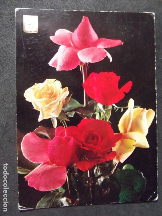 Postales: FLORES-DF1-CIRCULADA-FLOWERS-FLEURS-FIORI.