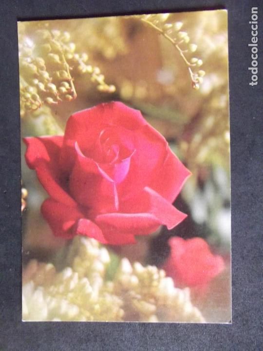 Postales: FLORES-DF1-CIRCULADA-FLOWERS-FLEURS-FIORI.