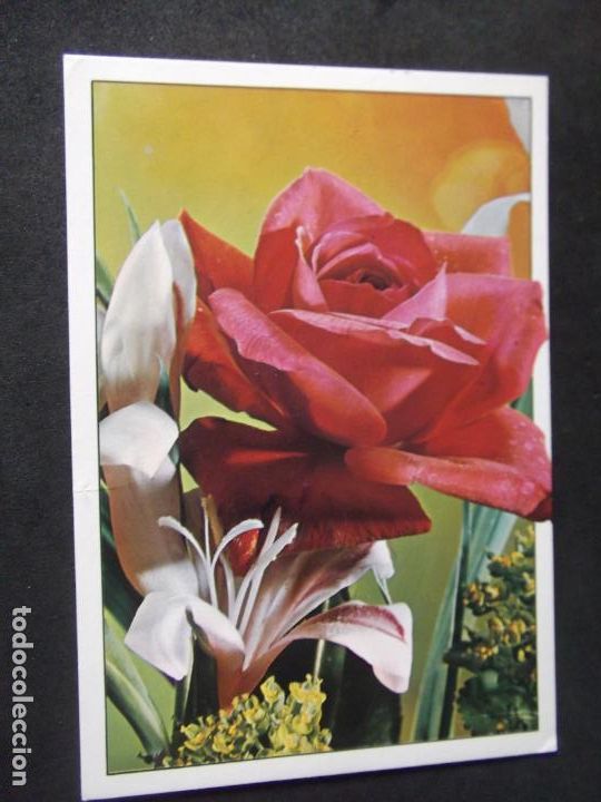 Postales: FLORES-DF1-NO ESCRITA-FLOWERS-FLEURS-FIORI.