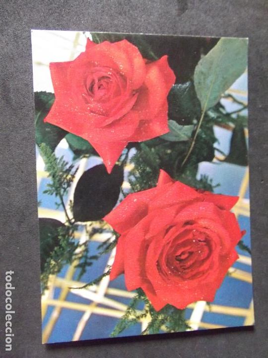 Postales: FLORES-DF1-NO ESCRITA-FLOWERS-FLEURS-FIORI...