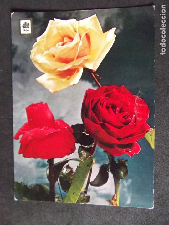Postales: FLORES-DF1-NO ESCRITA-FLOWERS-FLEURS-FIORI..
