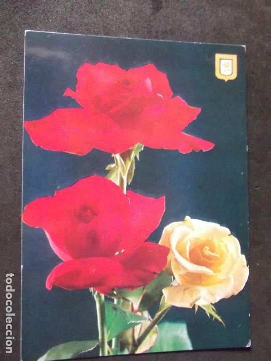 Postales: FLORES-DF1-NO ESCRITA-FLOWERS-FLEURS-FIORI.