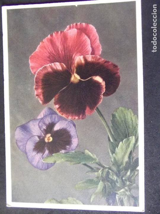 Postales: FLORES-V12B-SXX-NO ESCRITA-14X9mm-FLOWERS-FLEURS-FIORI...