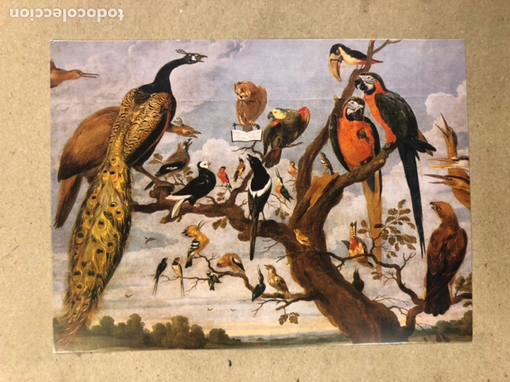 Cartoline: PAUL DE VOS. POSTAL SIN CIRCULAR MUSEO DE BELLAS ARTES DE BILBAO.
