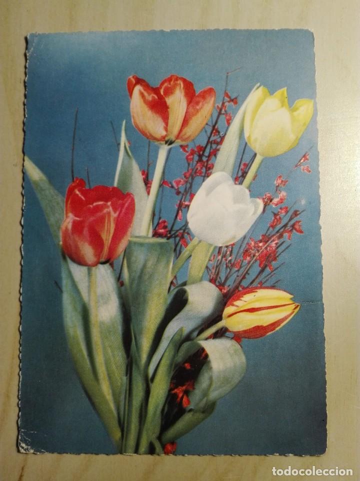 Cartoline: POSTAL2087 CIRCULADA 1964 - ILO COLOR 672 - TULIPAN FLOR