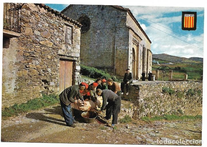 Postales: TIPICA CATALANA. MATAN&Ccedil;A DEL PORC. No circulada. A&ntilde;os 60