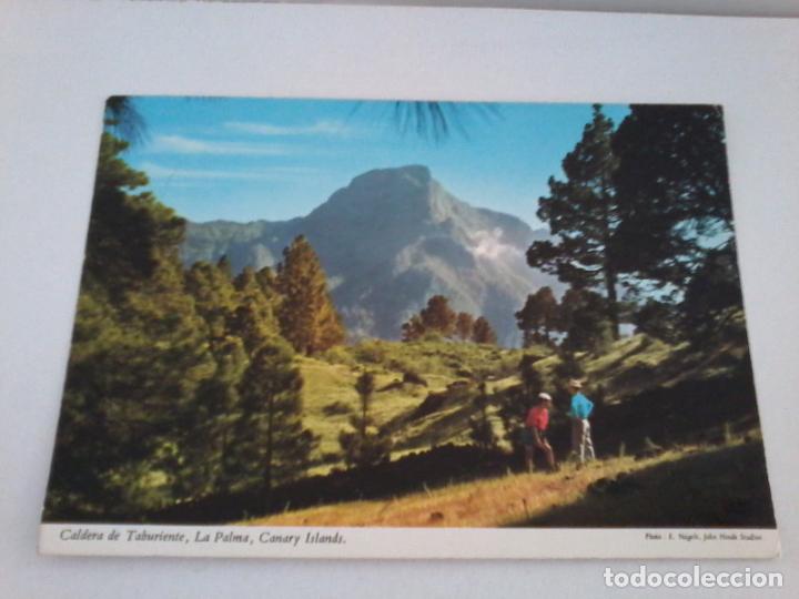Postales: TARJETA POSTAL. SAN MIGUEL DE LA PALMA. ISLAS CANARIAS. 2CT 174. JOHN HINDE