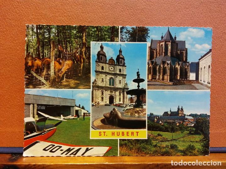 Cartoline: ST. HUBERT. BONITA POSTAL. CIRCULADA