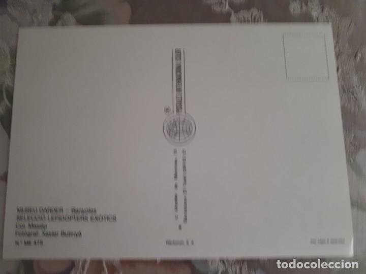 Postales: Postal Museu Darder Banyoles, seleccion lepidopters exotics. - Foto 2
