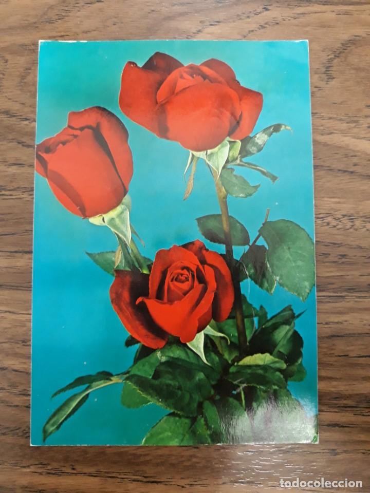 Postales: TARJETA POSTAL BV P - 20039-1. ROSAS. ESCRITA