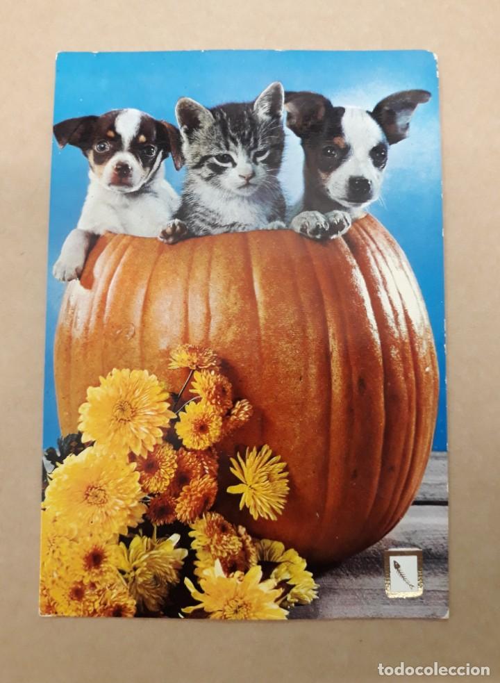 Postales: TARJETA POSTAL COMERCIAL ESCUDO DE ORO. ANIMALES DOM&Eacute;STICOS. ESCRITA
