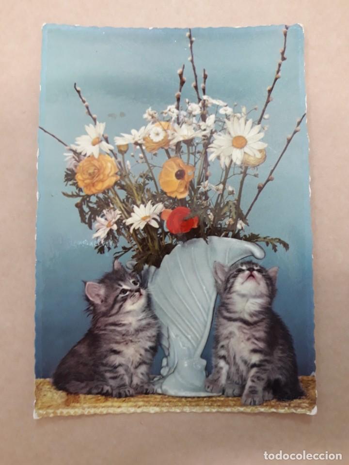 Postales: TARJETA POSTAL C. Y Z. 6059. PAREJA GATITOS. ESCRITA