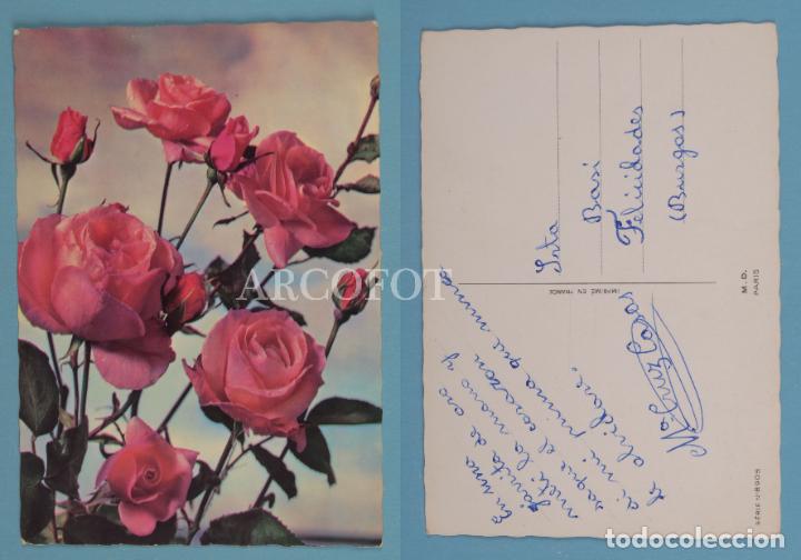Postales: Antigua POSTAL - SERIE N&ordm; 8905 - M.D. - Foto 1