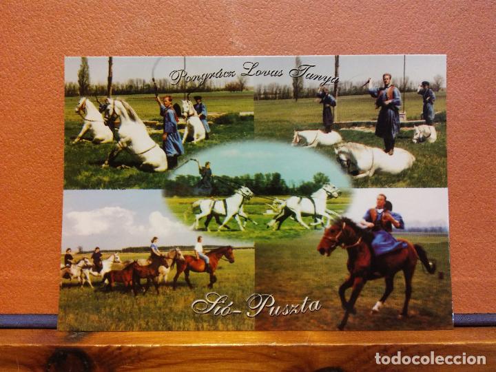 Postcards: PONGRACZ LOVAS TANYA. SI&Oacute;. PUSZTA. BONITA POSTAL. SIN USAR
