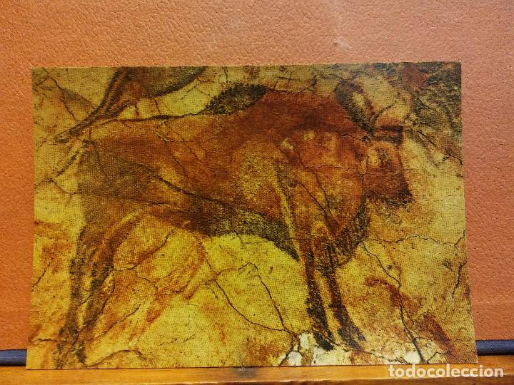 Cartes Postales: CUEVAS DE ALTAMIRA. GRAN BISONTE. BONITA POSTAL. SIN USAR
