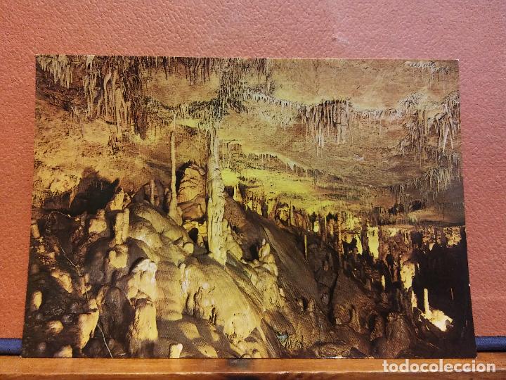 Cartes Postales: CUEVAS DE ALTAMIRA. ESTALACTITAS Y ESTALAGMITAS. BONITA POSTAL. SIN USAR
