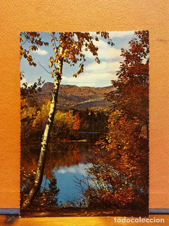 Cartes Postales: LAGO EN OTO&Ntilde;O. BONITA POSTAL. CIRCULADA