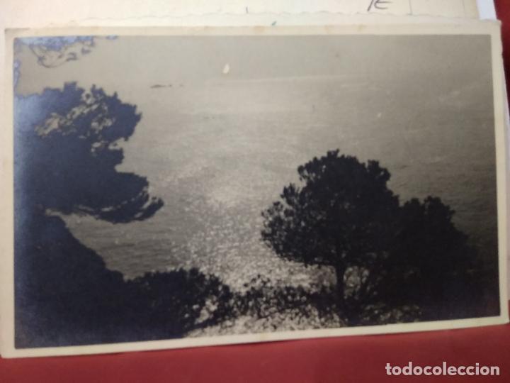 Cartes Postales: Postal paisaje pinos y mar. 1953. Postal-723